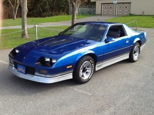 Custom Order: 1983 Chevy Camaro Z28 (16x20 Metallic)
