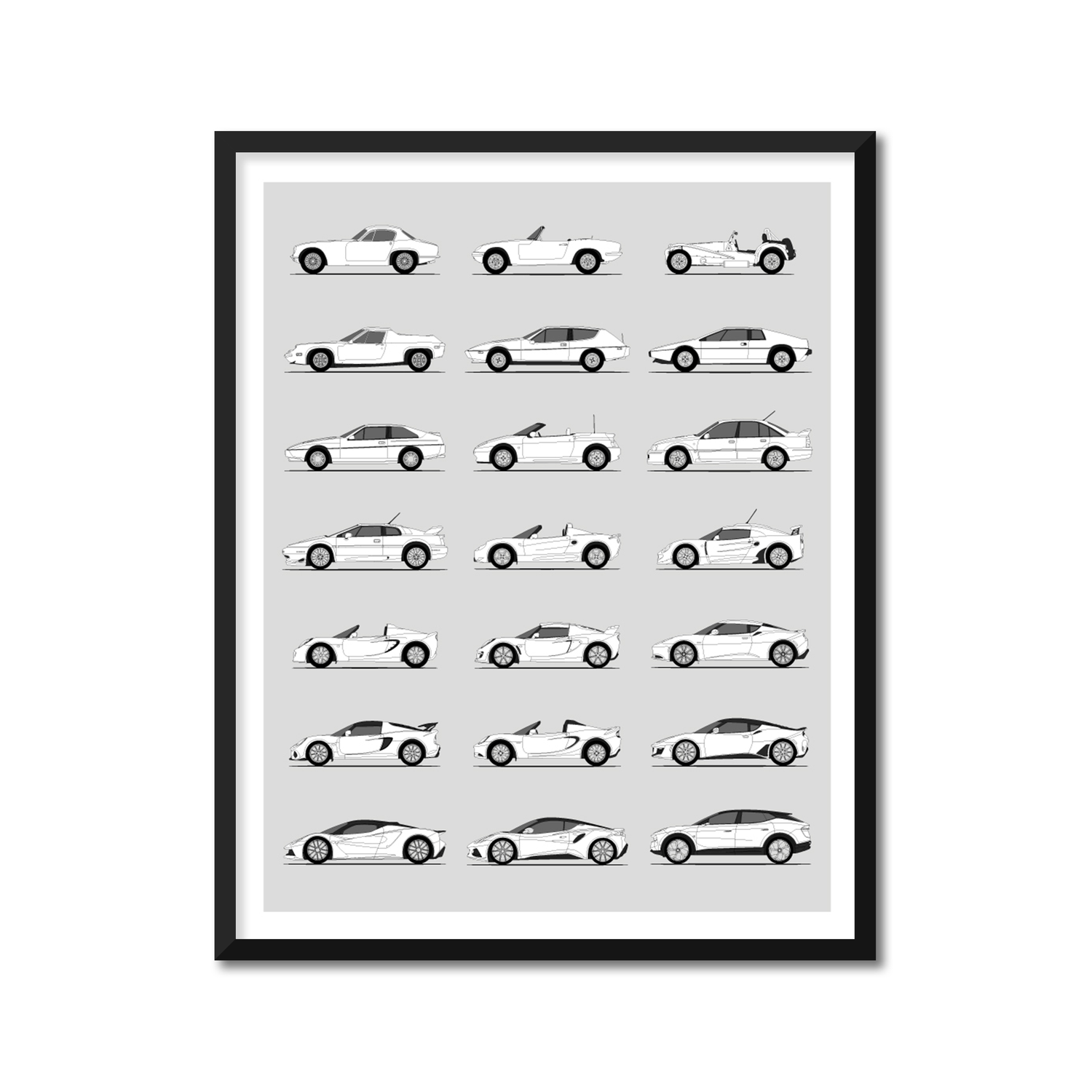 Lotus Best Generations History and Evolution Poster (Side Profile)