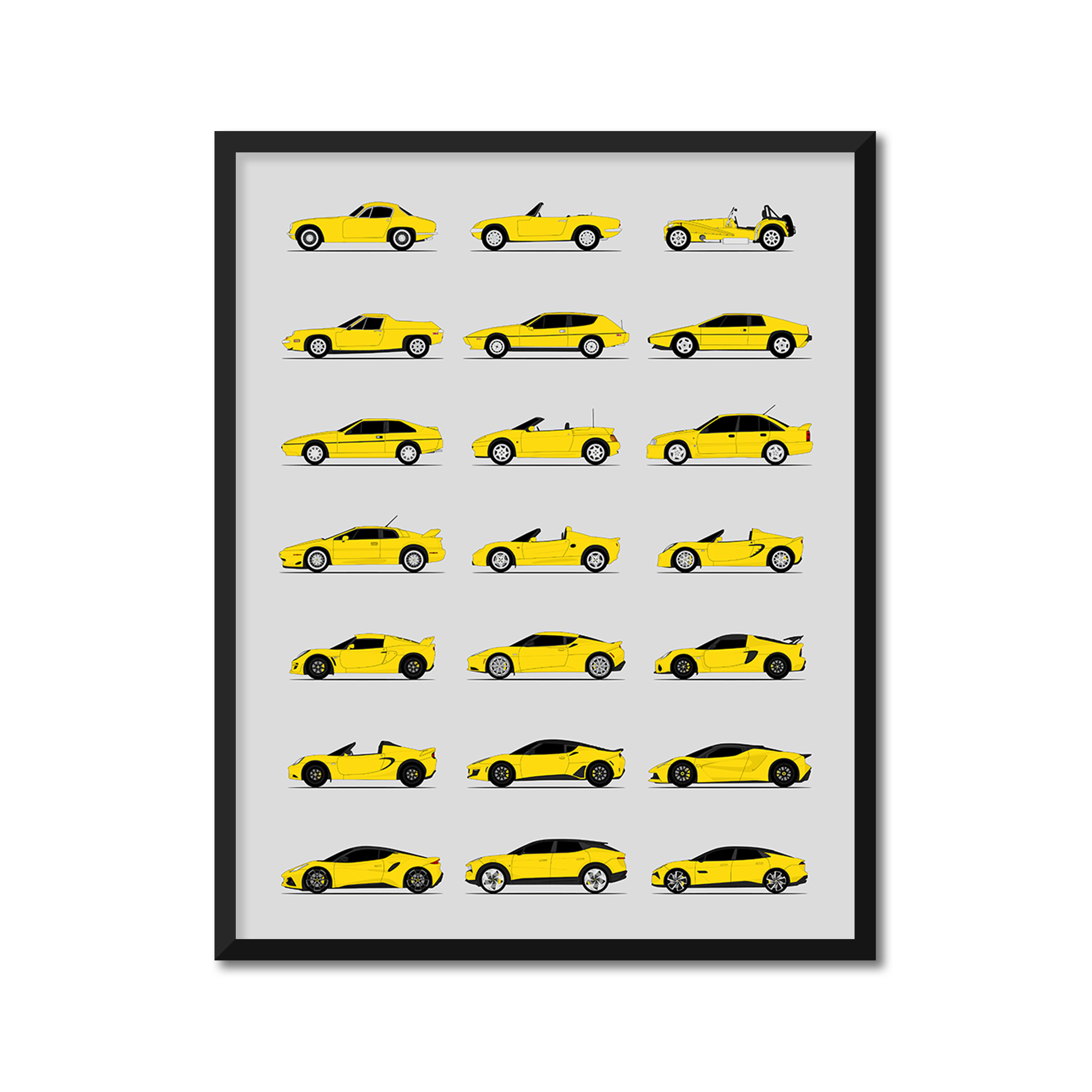 Lotus Best Generations History and Evolution Poster (Side Profile)