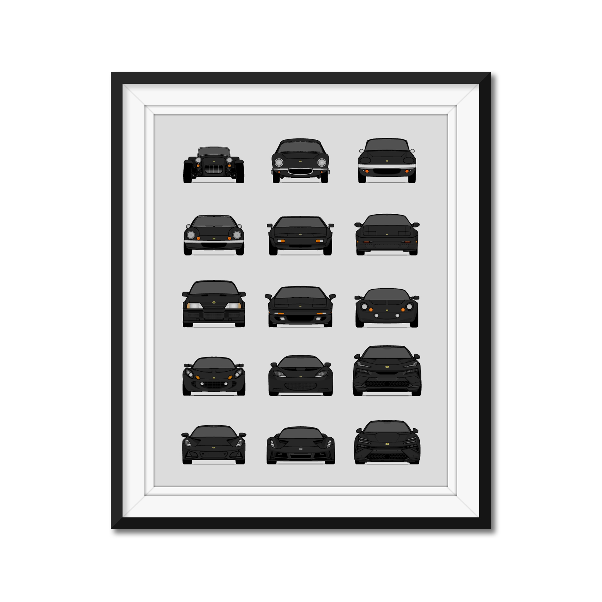Lotus Generations