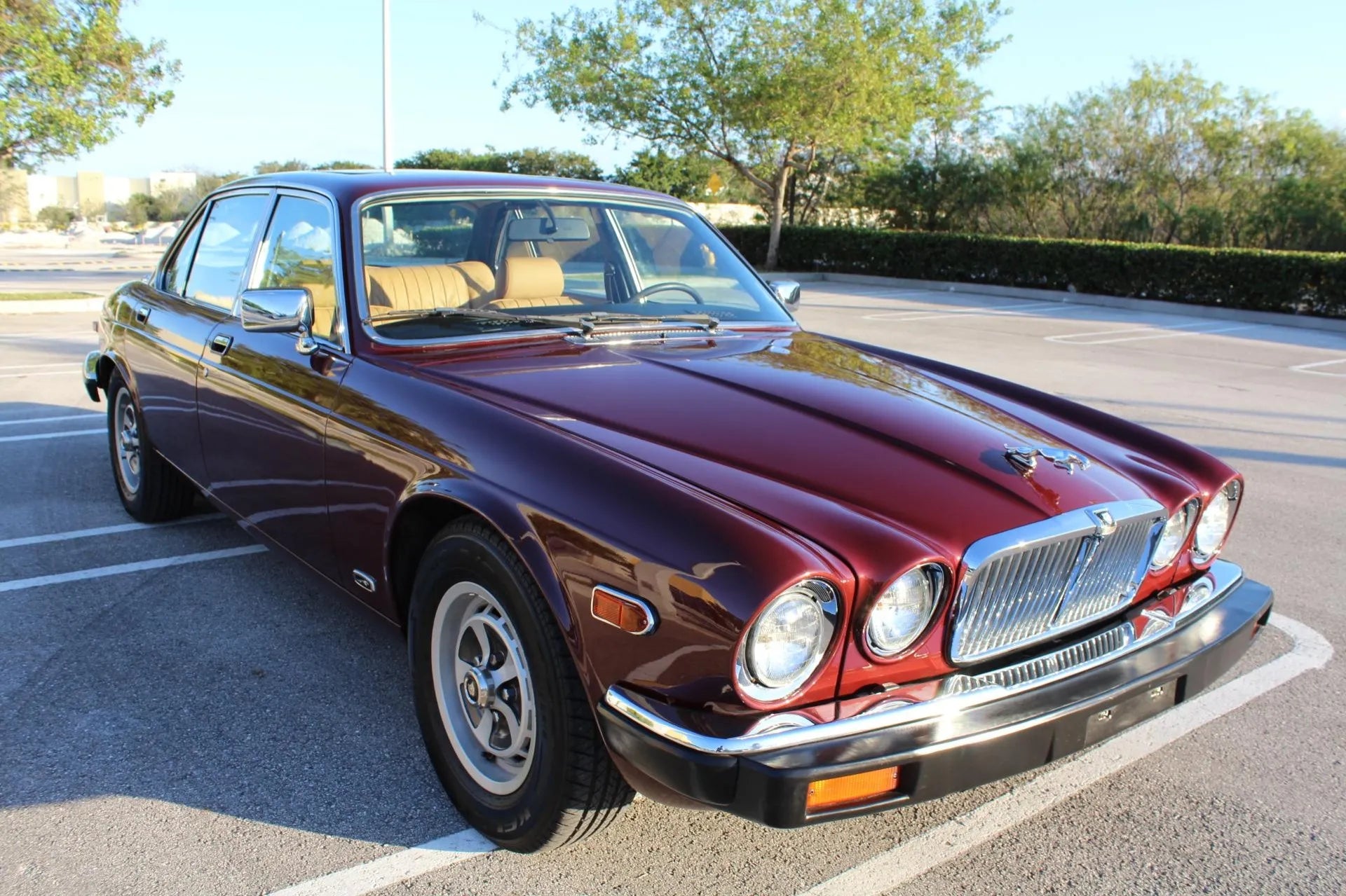 Custom Order: Jaguar XJ6 (11x14 Metallic)
