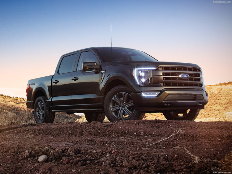 Ford (Shelby)