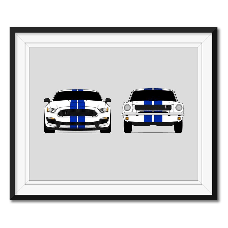 Ford Mustang Shelby GT350s Classic and New Generations