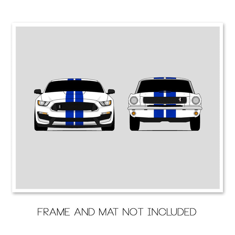 Ford Mustang Shelby GT350s Classic and New Generations