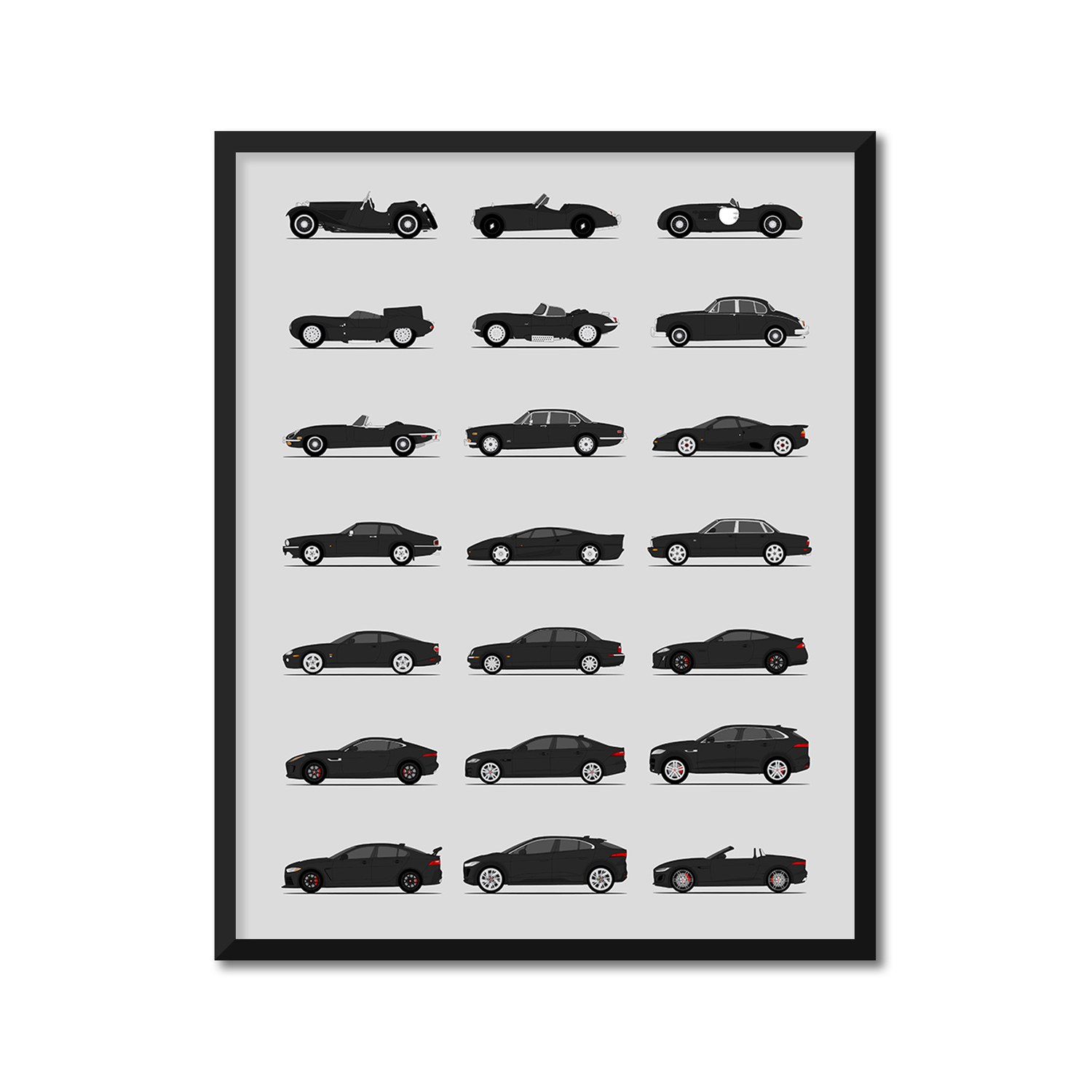 Jaguar Generations (Side Profile)