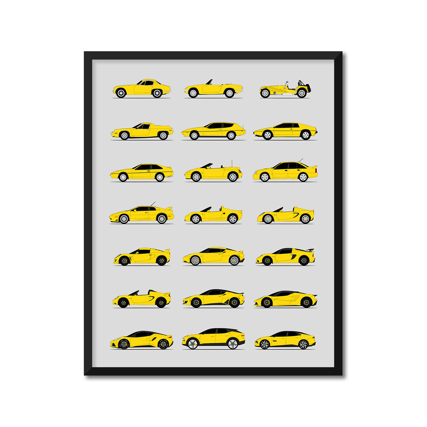Lotus Best Generations History and Evolution Poster (Side Profile)