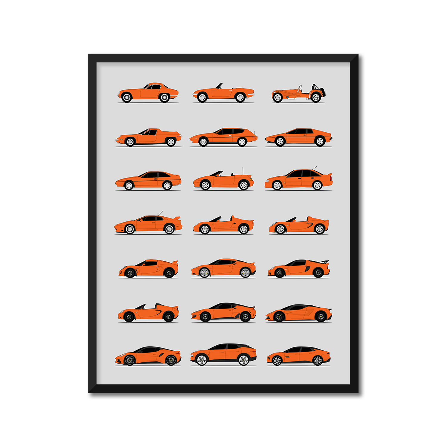 Lotus Best Generations History and Evolution Poster (Side Profile)