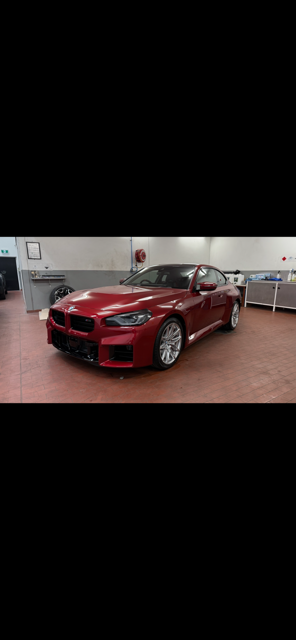 Custom Order: BMW M2 (A2)