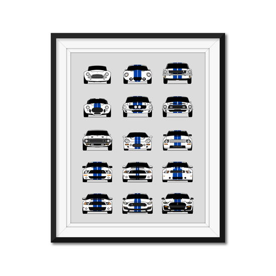 Customizable Version: Shelby Generations History and Evolution